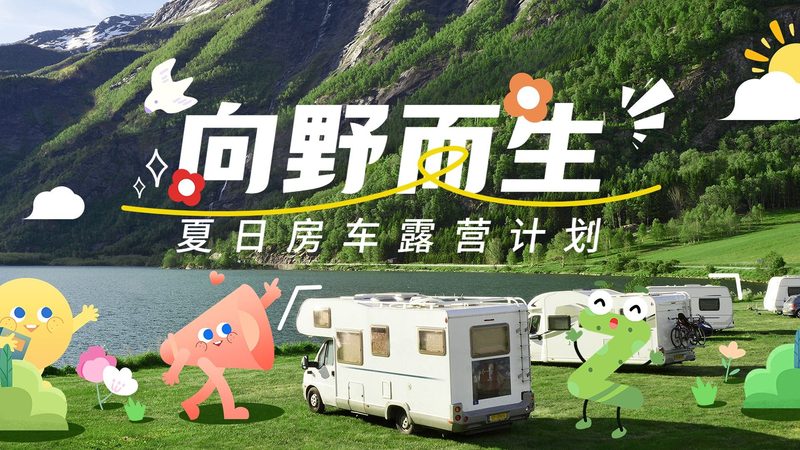 揭秘国内游旅行社服务流程：透明对比，明智选择